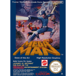 MEGA MAN NES