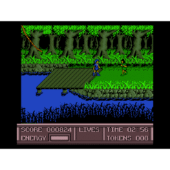 THE LEGEND OF PRINCE VALIANT NES IG2