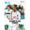 GRAND SLAM TENNIS WII FC 800X800