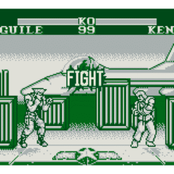 STREET FIGHTER II GB IG3