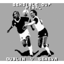 SENSIBLE SOCCER EUROPEAN CHAMPIONS GB IG1