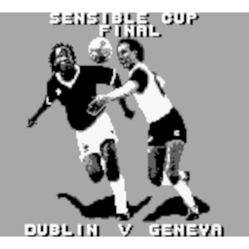 SENSIBLE SOCCER: EUROPEAN CHAMPIONS GB - Image 3