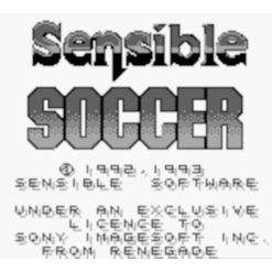 SENSIBLE SOCCER EUROPEAN CHAMPIONS GB IG3