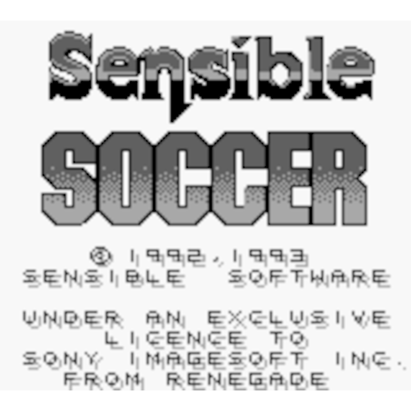 SENSIBLE SOCCER: EUROPEAN CHAMPIONS GB - Image 2
