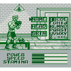 RIDDICK BOWE BOXING GB IG3