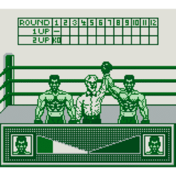 RIDDICK BOWE BOXING GB IG2