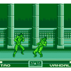 RAGING FIGHTER GB IG1