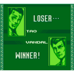 RAGING FIGHTER GB IG2