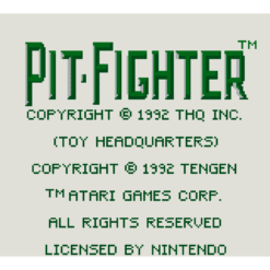 PIT FIGHTER GB IG1