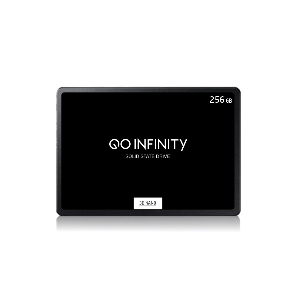 GO INFINITY DISCO SSD SATA III BULK 256GB