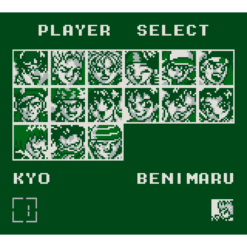 THE KING OF FIGHTERS 95 GB IG2