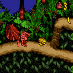 DONKEY KONG COUNTRY GBC IG1