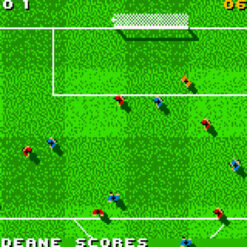 DAVID OLEARYS TOTAL SOCCER 2000 GBC IG1