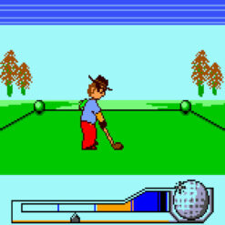 HOLE IN ONE GOLF GBC IG1