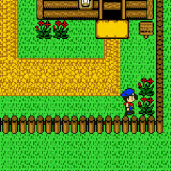 HARVEST MOON 2 GBC IG2