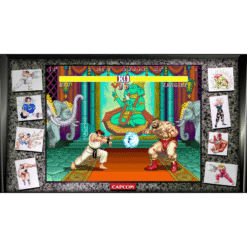 STREET FIGHTER 30TH ANNIVERSARY COLLECTION PS4 IG2