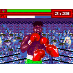 EVANDER HOLYFIELDS REAL DEAL BOXING GG IG2