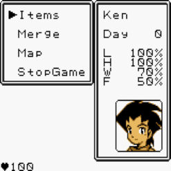 STRANDED KIDS GBC IG2