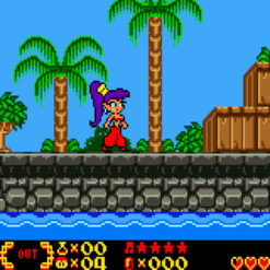 SHANTAE GBC IG2