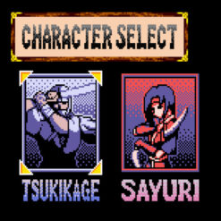 RETURN OF THE NINJA GBC IG3