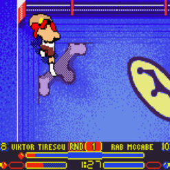 PRINCE NASEEM BOXING GBC IG1