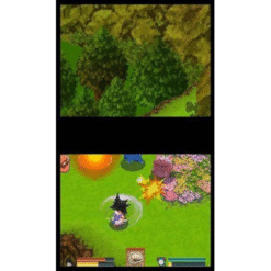 DRAGON BALL ORIGINS NDS IG3