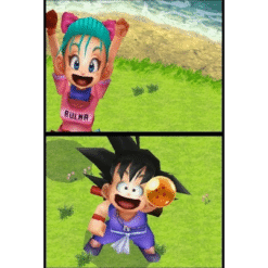 DRAGON BALL ORIGINS NDS IG1