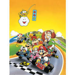 QUADRO TELA SUPER MARIO KART (RETRO) 30CMX40CM