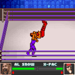 WWF ATTITUDE GBC IG2