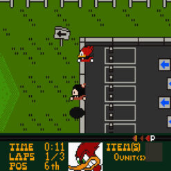 WOODY WOODPECKER RACING GBC IG2