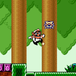 WARIO LAND 3 GBC IG1