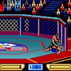 ULTIMATE FIGHTING CHAMPIONSHIP GBC IG2