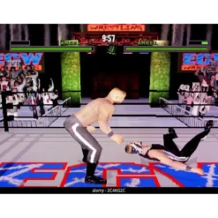 ECW ANARCHY RULZ PSX 5