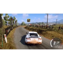 DIRT RALLY 2.0 PS4 1