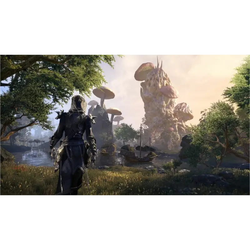 THE ELDER SCROLLS ONLINE PS4 (SEMI-NOVO) - Image 2