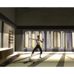 EYETOY KINETIC TOTAL COMBAT PS2 SEMI NOVO 4