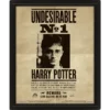 QUADRO LENTICULAR HARRY POTTER (POTTER/SIRIUS)