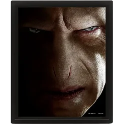 QUADRO LENTICULAR HARRY POTTER HARRY VS VOLDERMORT IG1