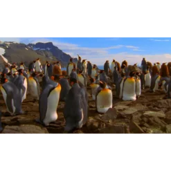 ATMOSFERAS TERRA AR AGUA IG3