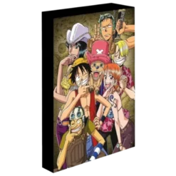QUADRO ILUMINADO ONE PIECE 30X40