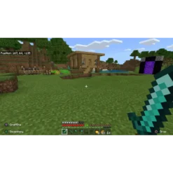 MINECRAFT PS5 IG1